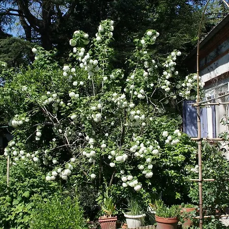 Ferienhaus Les Esquirols Toulouse